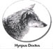 Hyrpus Doctus